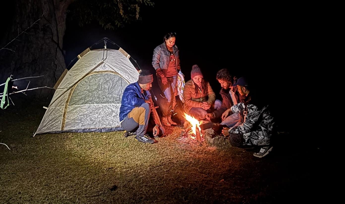 Bonfire evening in the forest
