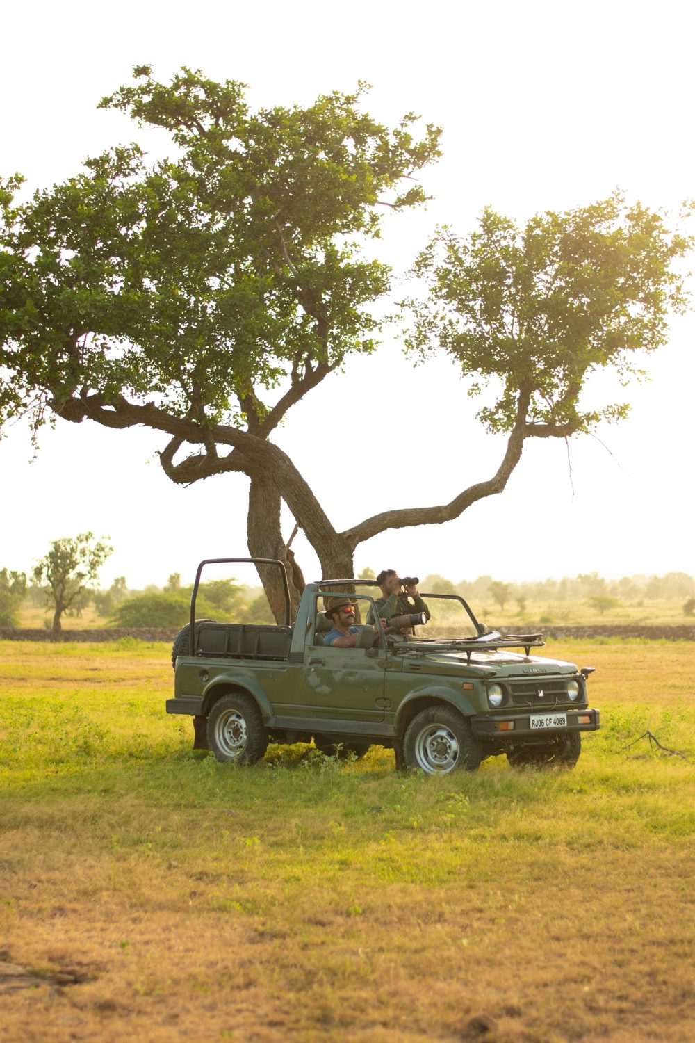 Safari Gypsy parked under a large tree in the grasslands with two people watching through binoculars and a long lens